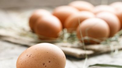 В Израел ще ядат български яйца 