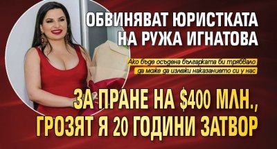 Обвиняват юристката на Ружа Игнатова за пране на $400 млн., грозят я 20 години затвор