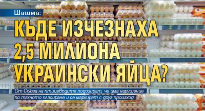 Шашма: Къде изчезнаха 2,5 милиона украински яйца?