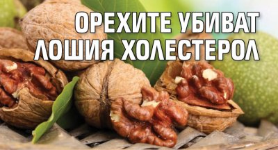 Орехите убиват лошия холестерол