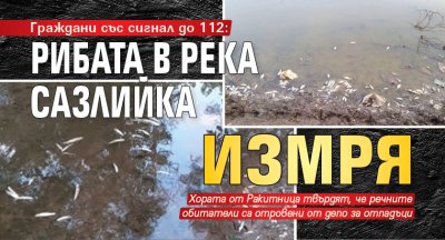 Граждани със сигнал до 112: Рибата в река Сазлийка измря