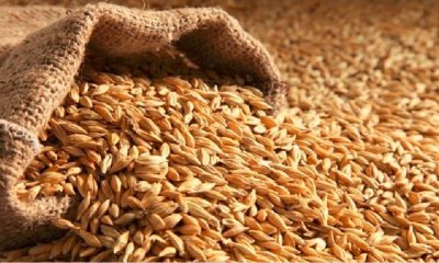 Полша спира вноса на зърно от Украйна