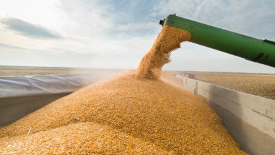 Полша временно ще спре целия внос на зърно от Украйна