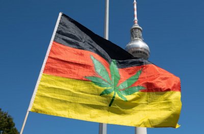 Правителството на Германия днес представи планове за легализиране на канабиса