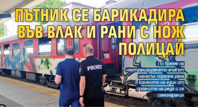 Пътник се барикадира във влак и рани с нож полицай