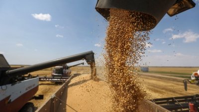 Украйна e изнесла зърно за сезон 2022/23 г. в размер на 38,8 млн. тона към 10 април