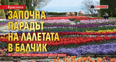 Красота: Започна Парадът на лалетата в Балчик (снимки)