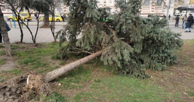 Силният вятър нанесе щети в София Екипи работят по десет