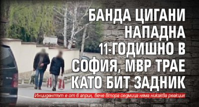 Банда цигани нападна 11-годишно в София, МВР трае като бит задник