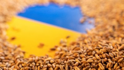 Полша допусна транзита на украински храни през своя територия