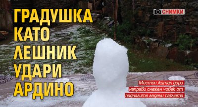 Градушка като лешник удари Ардино (СНИМКИ)