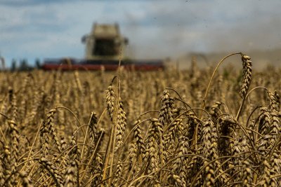 Полша ще запази ембаргото върху украинското зърно до края на годината
