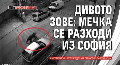 ДИВОТО ЗОВЕ: Мечка се разходи из София (ШОК ВИДЕО)