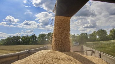 ЕК забрани вноса на зърно от Украйна до юни в 5 страни - и в България 