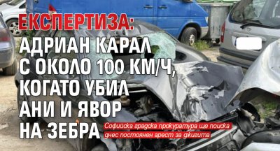 Експертиза: Адриан карал с около 100 км/ч, когато убил Ани и Явор на зебра