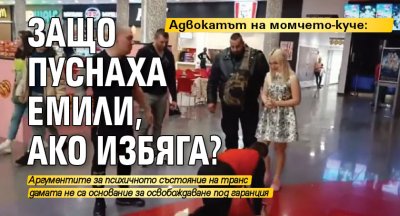 Адвокатът на момчето-куче: Защо пуснаха Емили, ако избяга?