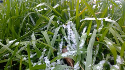 Пролетен майски сняг изненада жителите на родопското село Лилково   Днес имаме