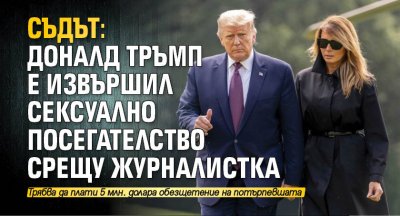 Съдът: Доналд Тръмп е извършил сексуално посегателство срещу журналистка