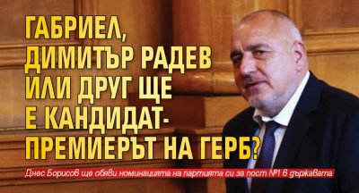 Габриел, Димитър Радев или друг ще е кандидат-премиерът на ГЕРБ?