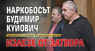 Наркобосът Будимир Куйович излезе от затвора
