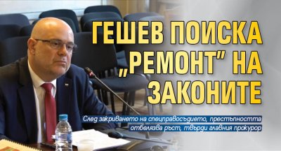 Гешев поиска "ремонт" на законите