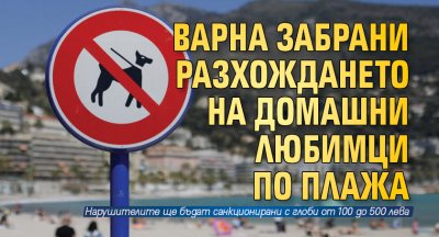 Варна забрани разхождането на домашни любимци по плажа