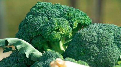 Консумацията на броколи или зеле може да намали тежкото протичане