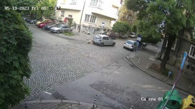 Шофьор на лек автомобил прегази куче в центъра на София