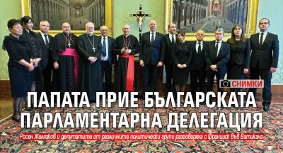 Папата прие българската парламентарна делегация (Снимки)