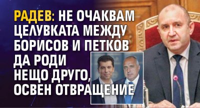 Радев: Не очаквам целувката между Борисов и Петков да роди нещо друго, освен отвращение