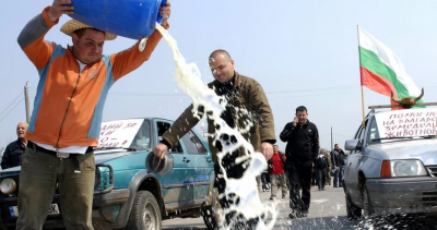 Фермери протестират за по-високи изкупни цени на млякото