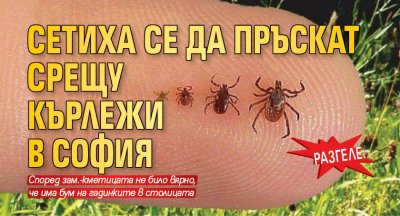 Разгеле: Сетиха се да пръскат срещу кърлежи в София
