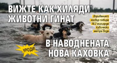 Гигантски водни маси си проправят път през Украйна след като