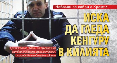 Навални се гаври с Кремъл: Иска да гледа кенгуру в килията