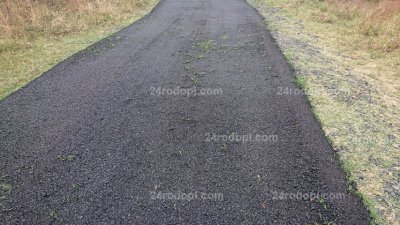 Трева проби асфалта на нов път