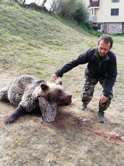 Мъж си направи селфи с убита мечка в Родопите