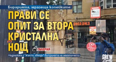 Бирарията, мразеща копейките: Прави се опит за втора Кристална нощ (ГАЛЕРИЯ)