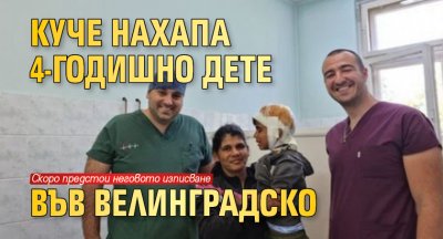 Куче нахапа 4-годишно дете във Велинградско