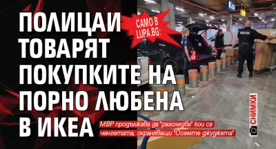 Само в Lupa.bg: Полицаи товарят покупките на порно Любена в ИКЕА (СНИМКИ)