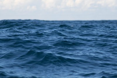 ООН прие първото в света споразумение за защита на океаните