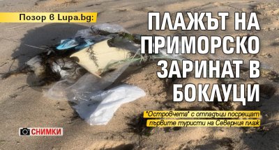 Позор в Lupa.bg: Плажът на Приморско заринат в боклуци (снимки)
