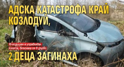 Адска катастрофа край Козлодуй, 2 деца загинаха
