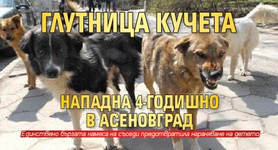 Глутница кучета нападна 4-годишно в Асеновград