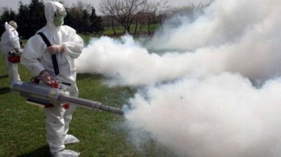 Правителството одобри 2,5 млн. лева за пръскане срещу комари по Дунава