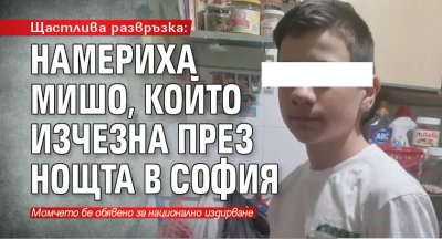 Щастлива развръзка: Намериха Мишо, който изчезна през нощта в София