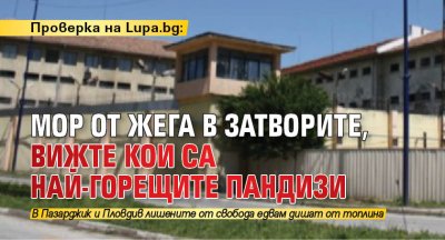 Проверка на Lupa.bg: Мор от жега в затворите, вижте кои са най-горещите пандизи