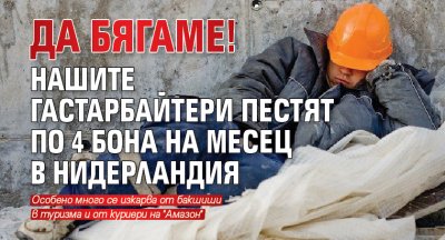 ДА БЯГАМЕ! Нашите гастарбайтери пестят по 4 бона на месец в Нидерландия