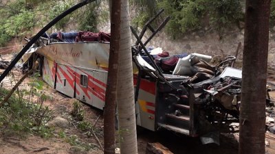 Автобус падна в пропаст в южно Мексико в сряда сутринта