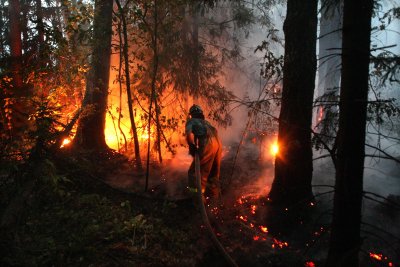 Голям пожар избухна в Бургаско Борова гора гори между бураските