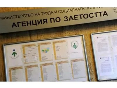 Обявиха че Милена Георгиева оглавява Агенцията по заетостта От Министерството на труда и